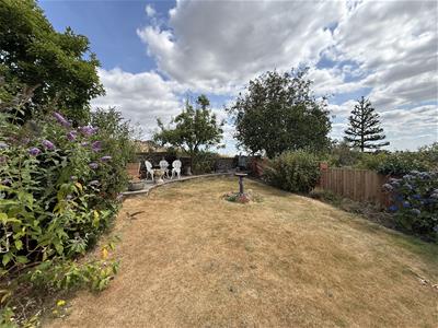 Picture 19